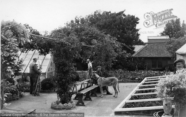 Photo of Wannock, Gardens, Flower Courts c.1955