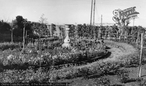 Photo of Wannock, Gardens, Rest Walk c.1960