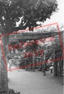 Gardens, The Kissing Gate c.1955, Wannock