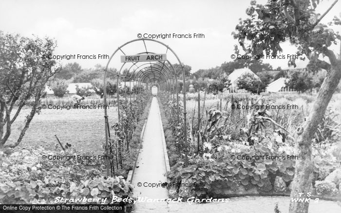 Photo of Wannock, Gardens, The Strawberry Beds c.1955