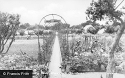 Gardens, The Strawberry Beds c.1955, Wannock
