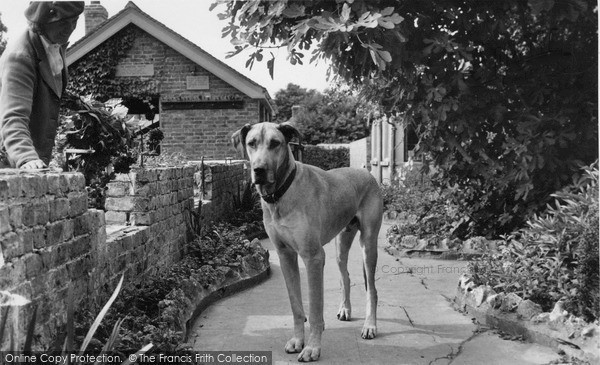 Photo of Wannock, Mark, A Watchman At Wannock Gardens c.1955