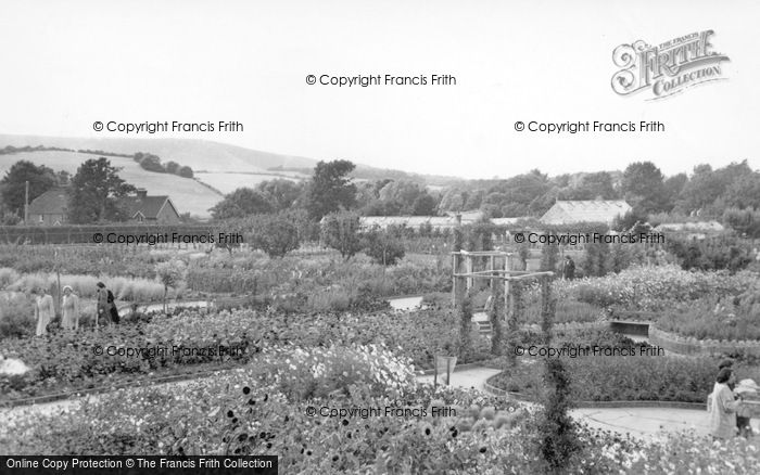 Photo of Wannock, South Downs And Gardens c.1955