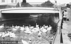 Feeding The Swans c.1965, Ware