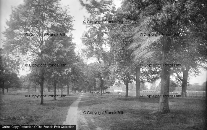 Photo of Ware, Park Avenue 1925