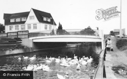 The River Lea And Bridge c.1965, Ware