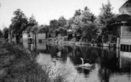 The River Lea c.1955, Ware