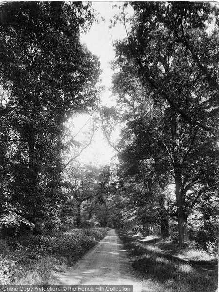 Photo of Ware, Walnut Tree Walk 1925