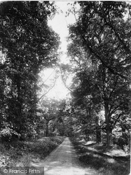 Walnut Tree Walk 1925, Ware