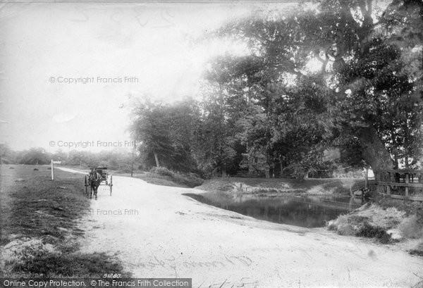 Photo of Warlingham, Worms Heath 1904