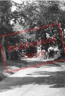 Tilletts Lane c.1955, Warnham