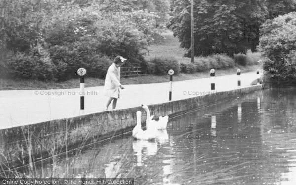 Photo of Warter, Feeding The Swans c.1960