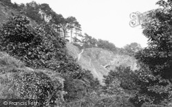 Goat Path From Woods c.1938, Watcombe