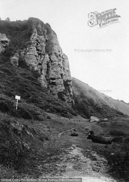 Photo of Watcombe, The Glen 1912