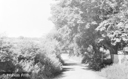 Vicarage Lane c.1955, Waterford