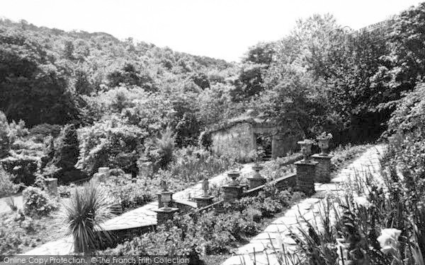 Photo of Watermouth, Castle, The Tropical Gardens c.1965