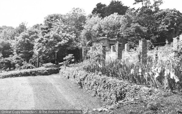 Photo of Watermouth, Castle, The Tropical Gardens c.1965