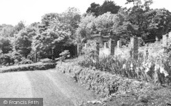 Castle, The Tropical Gardens c.1965, Watermouth