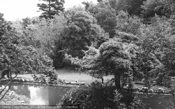 Photo of Watermouth, Castle, The Tropical Gardens c.1965