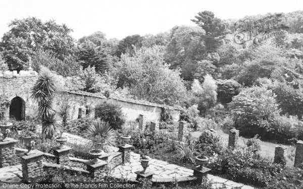 Photo of Watermouth, Castle, The Tropical Gardens c.1965