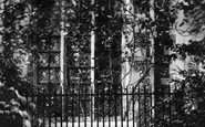 Watford, the Fig Tree 1906