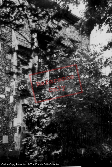 Photo of Watford, The Fig Tree c.1950