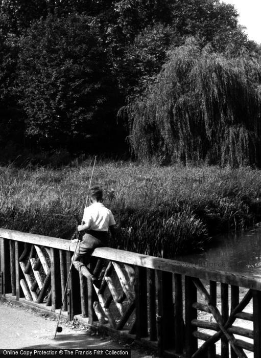 Photo of Watford, The Mill, Cassiobury Park c.1955