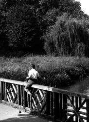 The Mill, Cassiobury Park c.1955, Watford