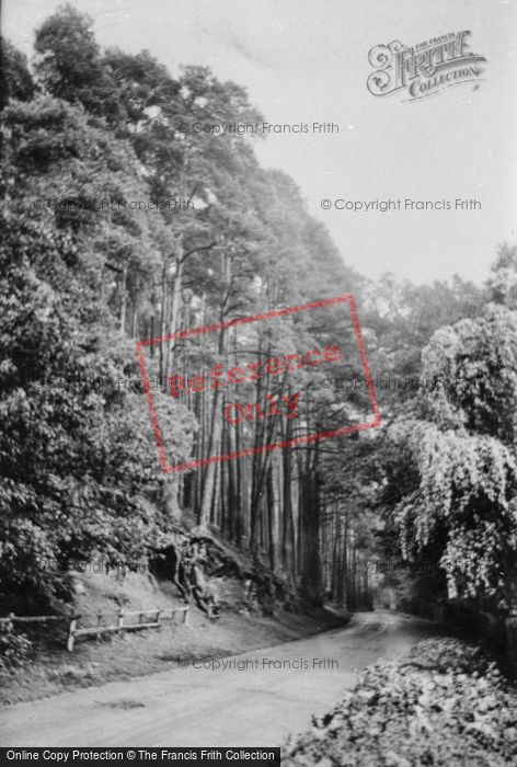 Photo of Waverley, Crooksbury Firs 1911