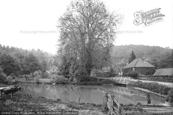 Photo of Waverley, Stella Cottage 1911