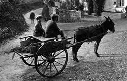 Donkey Cart 1923, Weare Giffard