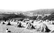 The Harvest Field 1890, Weare Giffard