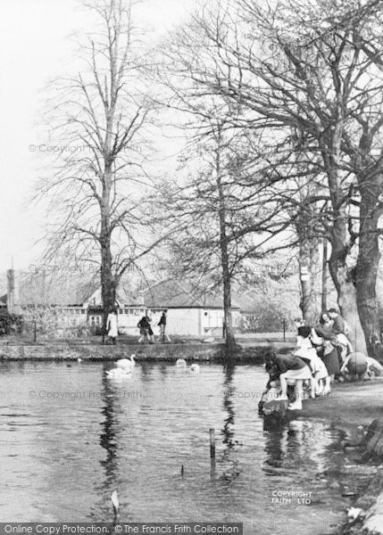 Photo of Welling, Feeding The Swans, Danson Park c.1955