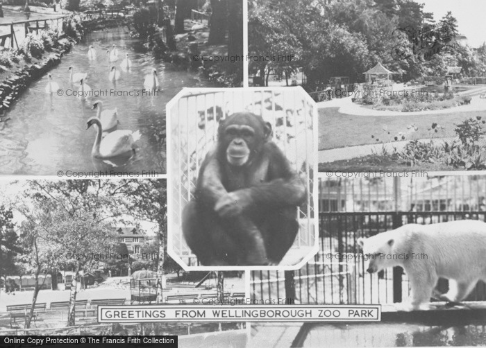 Photo of Wellingborough, Composite, Zoo Park c.1965