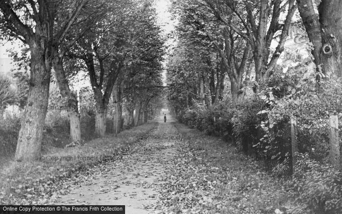 Photo of Wellingborough, The Walks c.1960