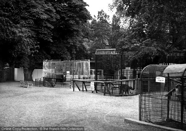Photo of Wellingborough, the Zoo Park c1950