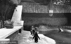 Zoo Park, The Penguins c.1950, Wellingborough