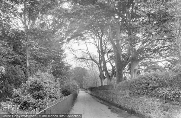 Photo of Wellington, Beech Grove 1925