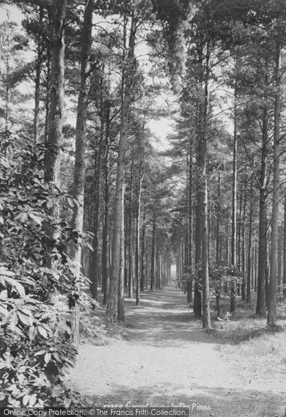 Photo of Wellington College, In The Pines 1907