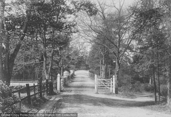 Photo of Wellington College, In The Woods 1908