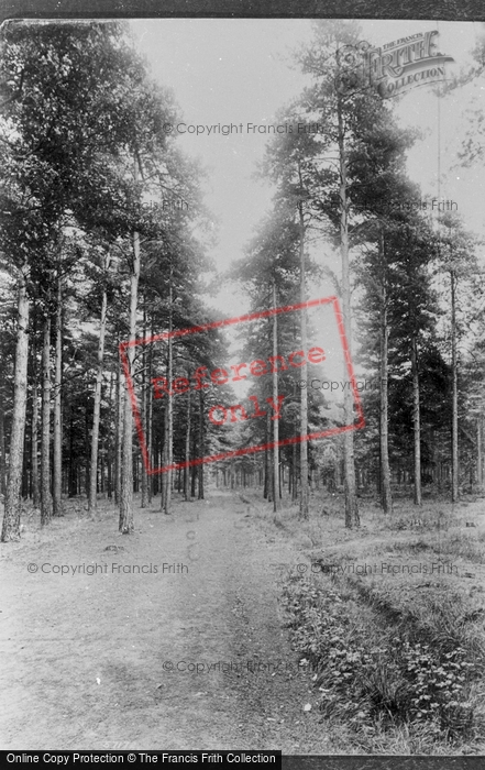 Photo of Wellington College, Pathway Near Little Wicket Gate 1906