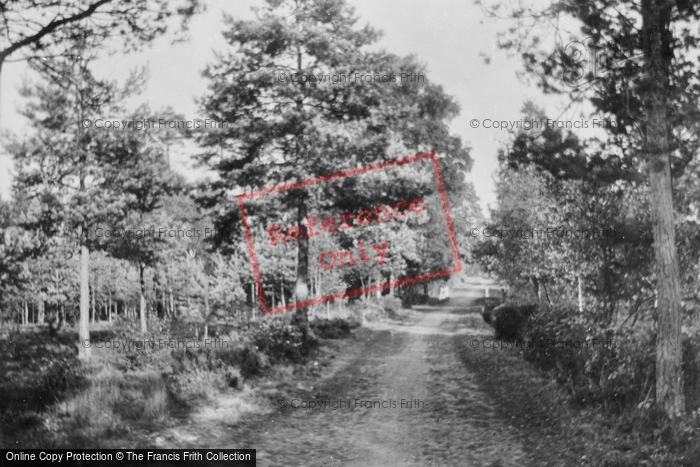 Photo of Wellington College, Woods 1931