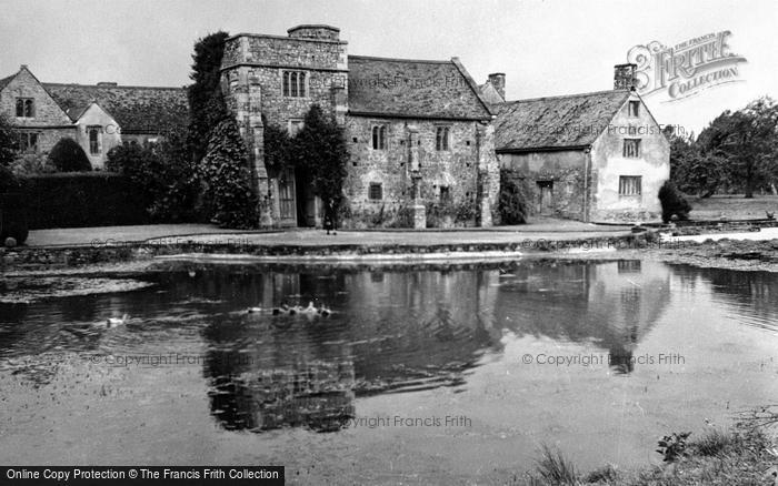 Photo of Wellington, Cothay Manor 1950