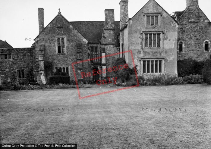 Photo of Wellington, Cothay Manor 1950