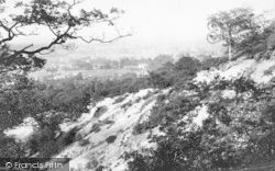 From Above Ercall Quarry 1892, Wellington