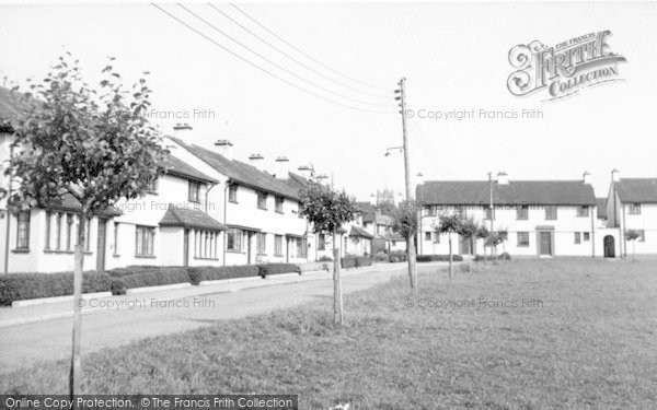 Photo of Wellington, Howards Estate c.1955