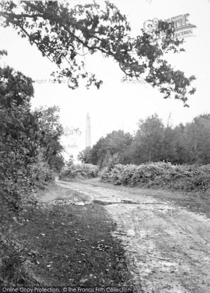 Photo of Wellington, The Monument c.1950