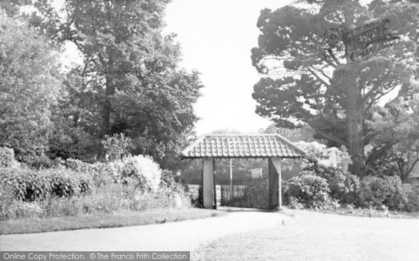 Photo of Wellington, The Park c.1955