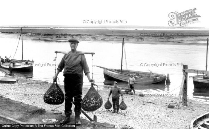 Photo of Wells-next-the-Sea, Bringing in the Whelks 1929