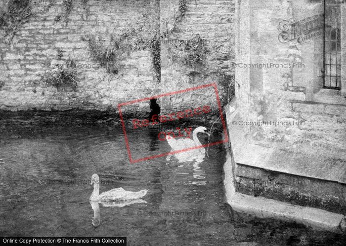 Photo of Wells, The Swans On The Palace Moat 1906